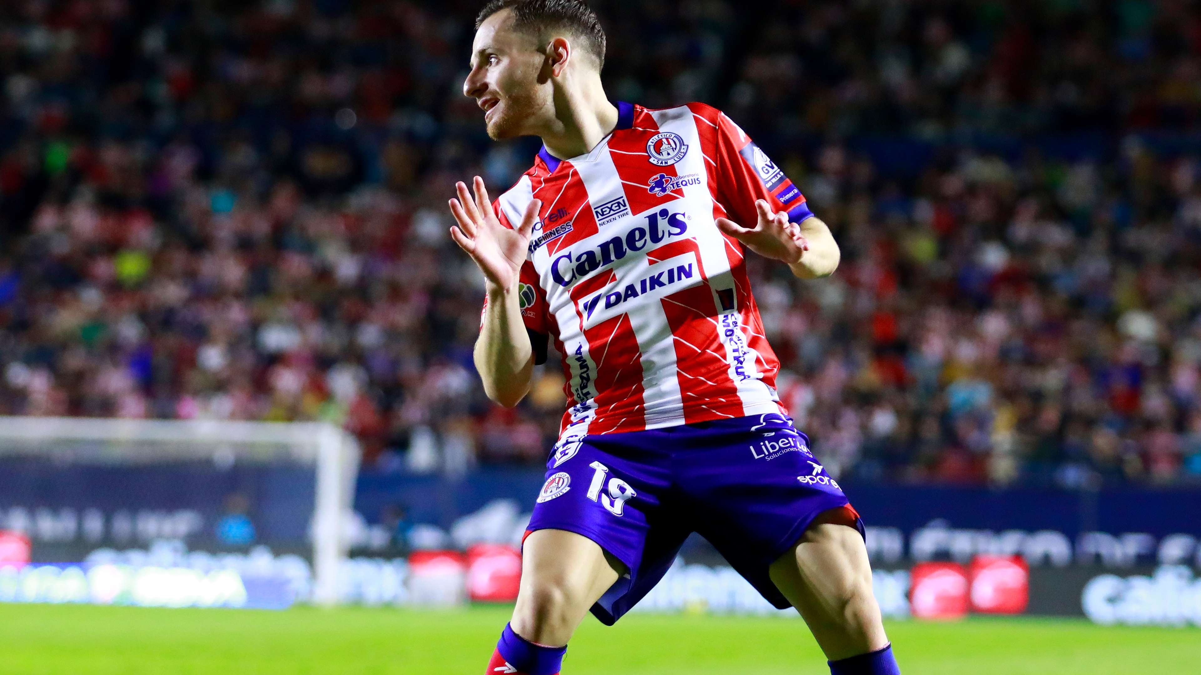 的廣泛關注 的廣泛關注